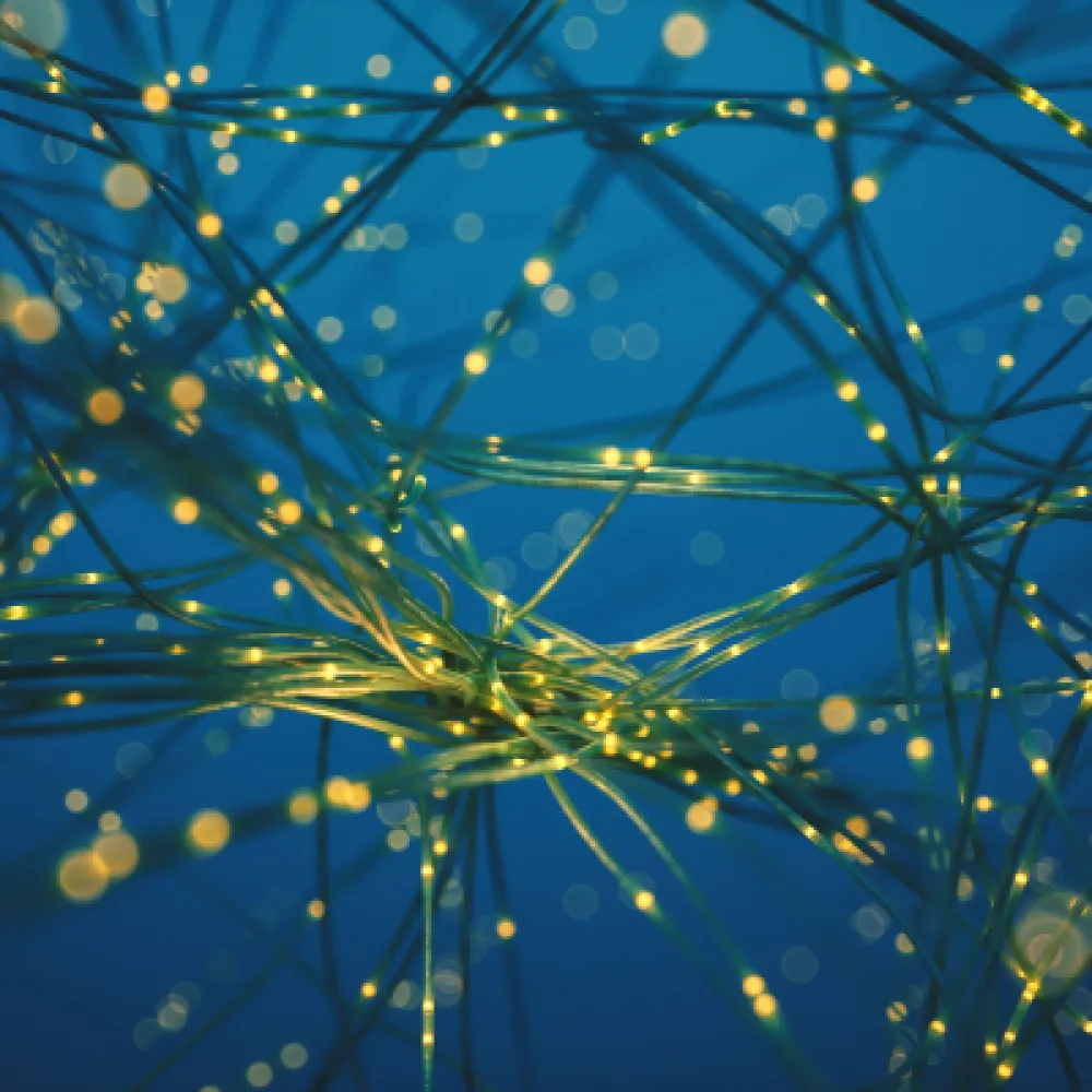 synaptic plasticity